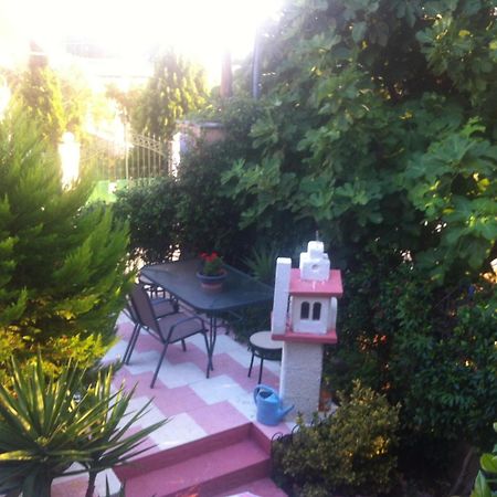 Roses Apartments ネア・ミカニオーナ エクステリア 写真